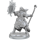 Pathfinder Legendary Cuts Human Wizard Male