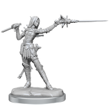 Pathfinder Legendary Cuts Elf Rogue Female