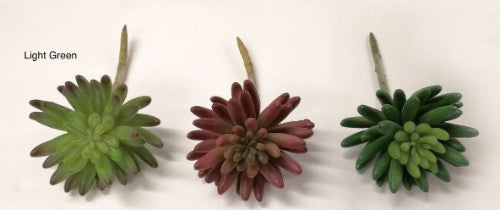 Fleshy Succulent (Light Green)