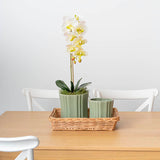 Ceramic Florence Vase Matte Green 15Dx15cmH.