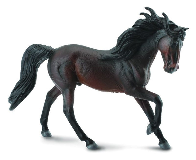 Handcrafted CollectA Andalusian Stallion Bay model, 16.5cm, detailed and vibrant, perfect for collectors and horse enthusiasts.