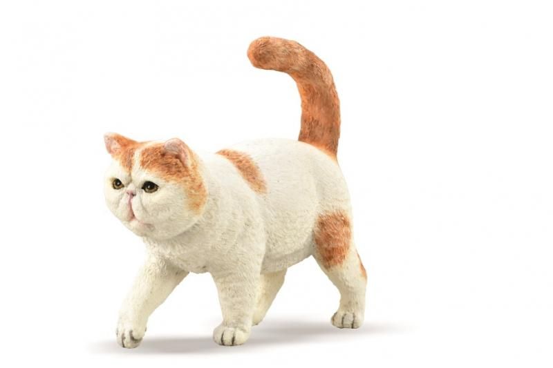 Hand-painted CollectA Exotic Shorthair figure, 6.2cm x 5.7cm, featuring intricate details and durable, non-toxic vinyl.