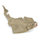 Figurine - CollectA Angel Shark (Medium)