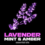Lynx Deodorant Body Spray Blue Lavender 150mL