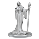 Critical Role Unpainted Miniatures Human Wizard Female & Halfling Holy Warrior