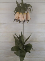 Artificial Flower Spray - Single Autunm Bellflower (Champagne)