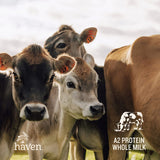 Haven A2 Stage 3 Toddler Milk Drink From 12+ Months 800g