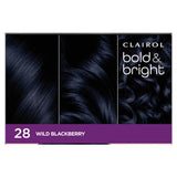 Clairol Bold & Bright Hair Colour Wild Blackberry 28 1pack