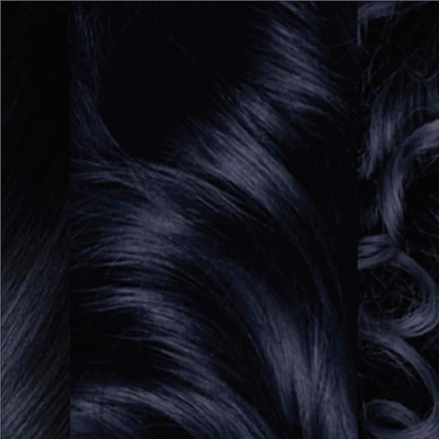 Clairol Bold & Bright Hair Colour Wild Blackberry 28 1pack