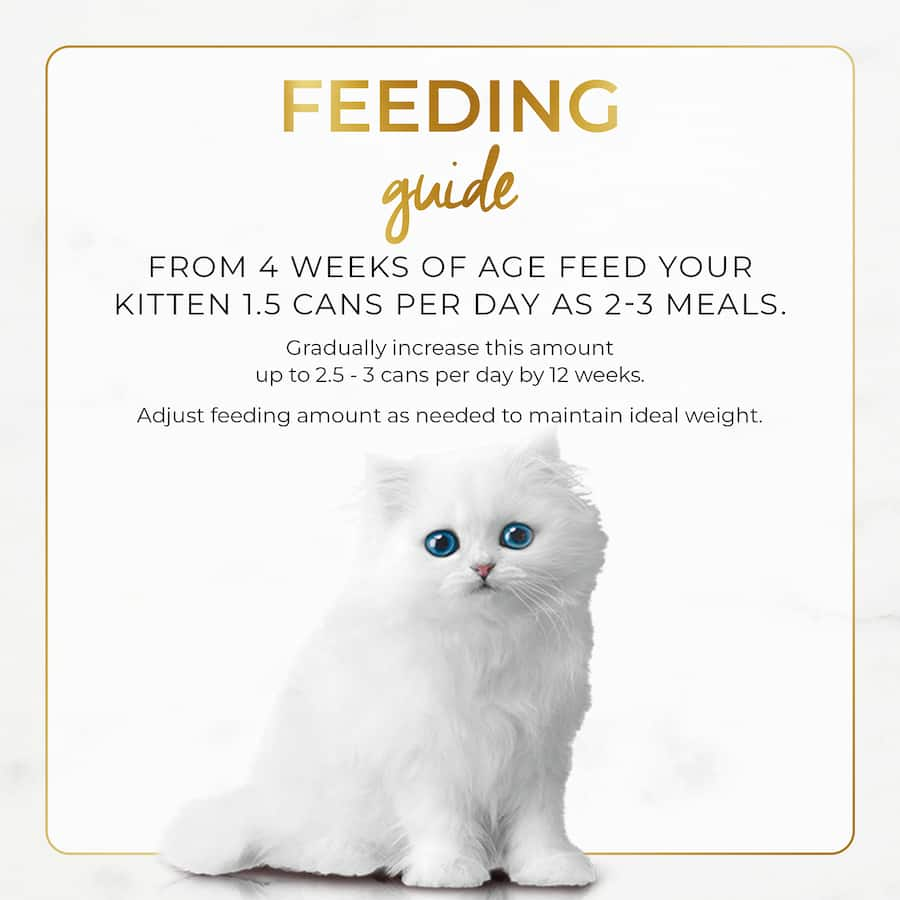 Fancy Feast Kitten Wet Cat Food Tender Chicken Feast