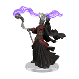 D&D Icons of the Realms Tomb of Annihilation Box 1