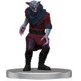 D&D Icons of the Realms Adventure in a Box Wererat Den