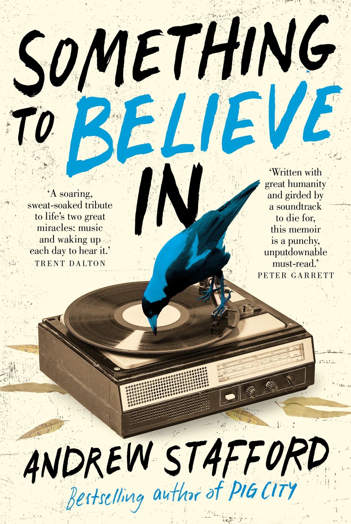 Cover of "Something to Believe In," a memoir exploring music, madness, and love by Andrew Stafford, published in trade paperback.