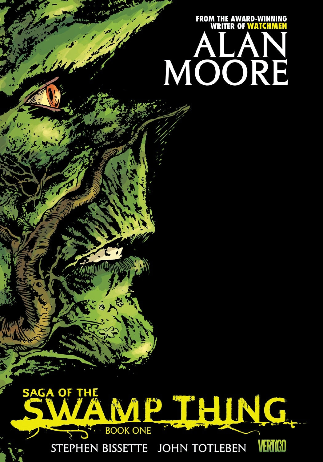 Saga Of The Swamp Thing Book One