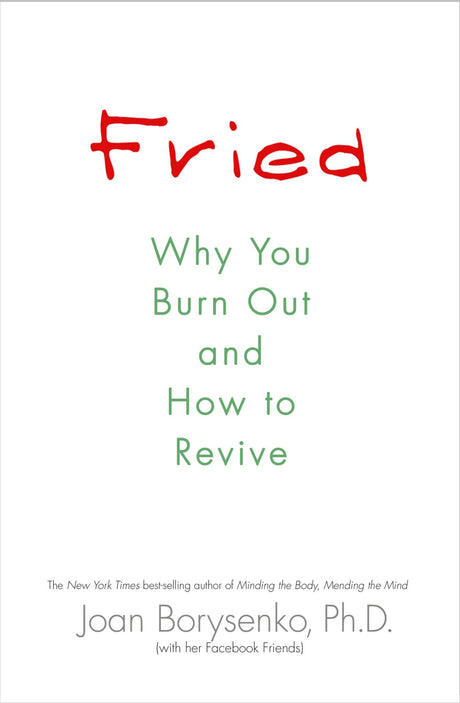 Cover of "Fried: Why You Burn Out and How to Survive" by Joan Borysenko, a guide to reclaiming energy and overcoming burnout.