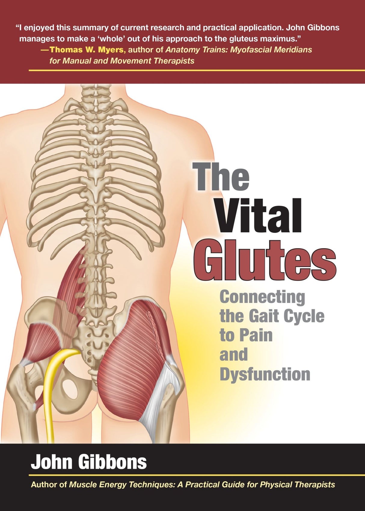 Illustrated guide by John Gibbons on enhancing gluteal muscle function for pain relief and improved body mechanics.