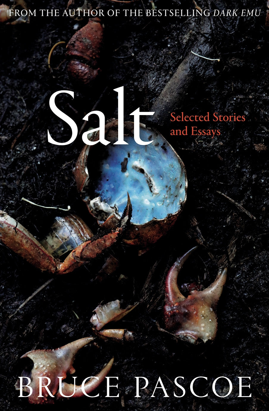 Cover of "Salt" by Bruce Pascoe, a collection of essays and stories celebrating Australia's landscape and culture.