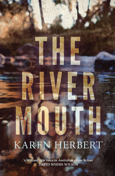 Cover of 'The River Mouth,' a mystery novel featuring themes of suspense, secrets, and a mother's quest for closure.