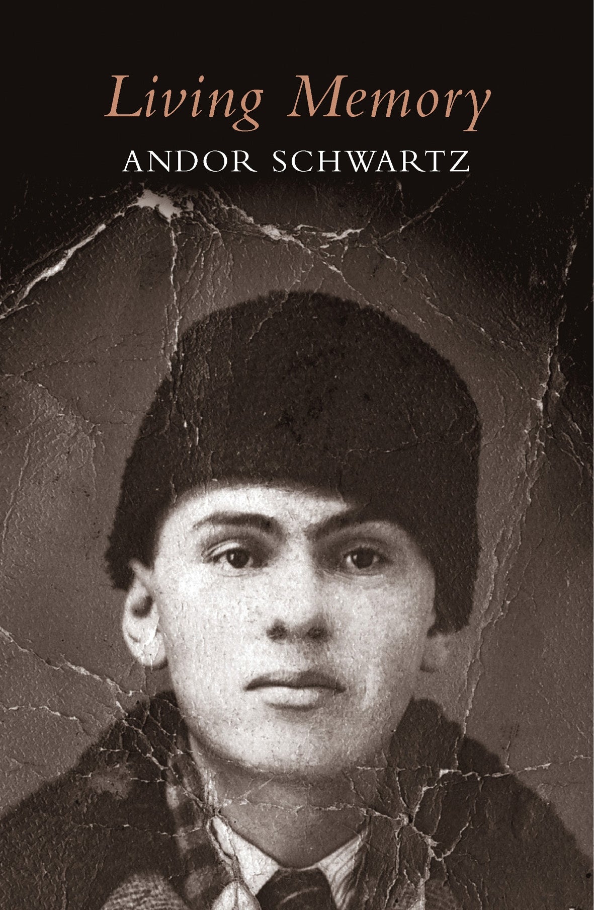 Cover of 'Living Memory' by Andor Schwartz, a memoir recounting Holocaust survival and the resilience of family memories.