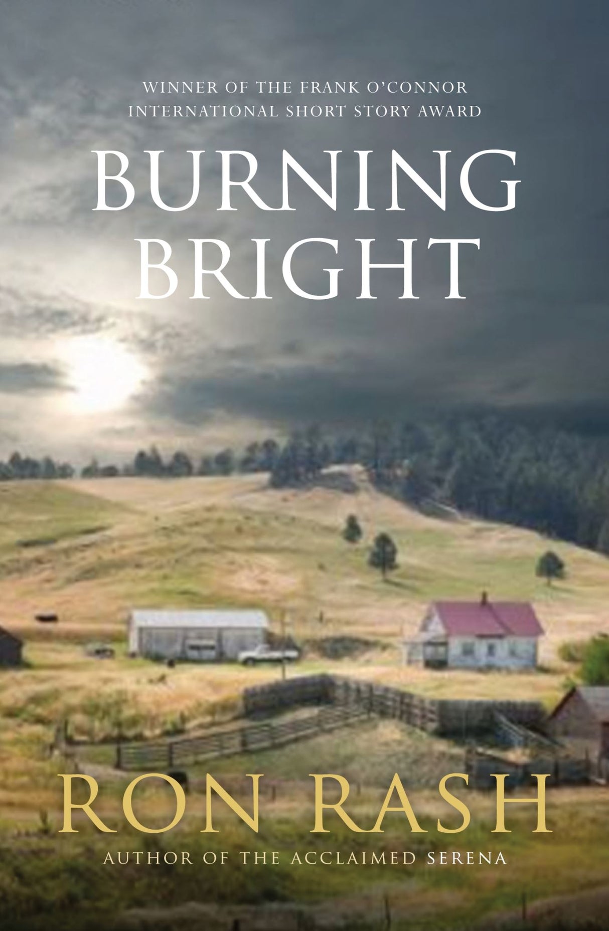 Cover of 'Burning Bright' by Ron Rash, featuring a captivating design symbolizing the struggles and resilience of Appalachian characters.