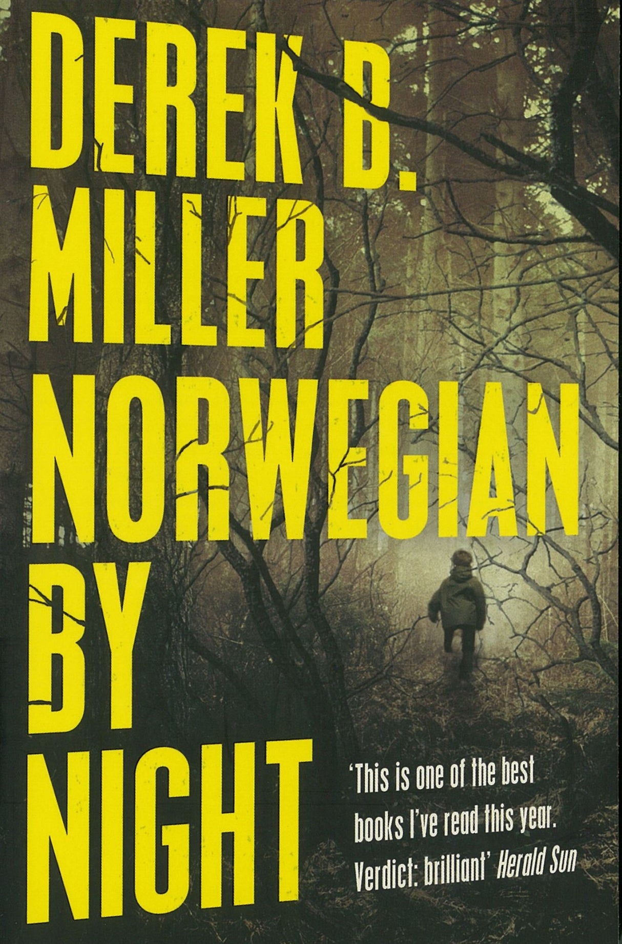 Cover of "Norwegian by Night," a gripping literary thriller about an 82-year-old ex-Marine's perilous adventure in Norway.