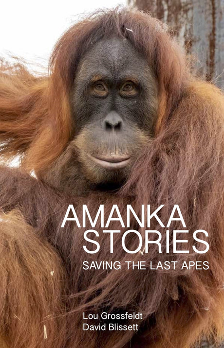 Cover of "Amanka Stories: Saving the Last Apes," featuring captivating tales on ape conservation and the heroes behind it.