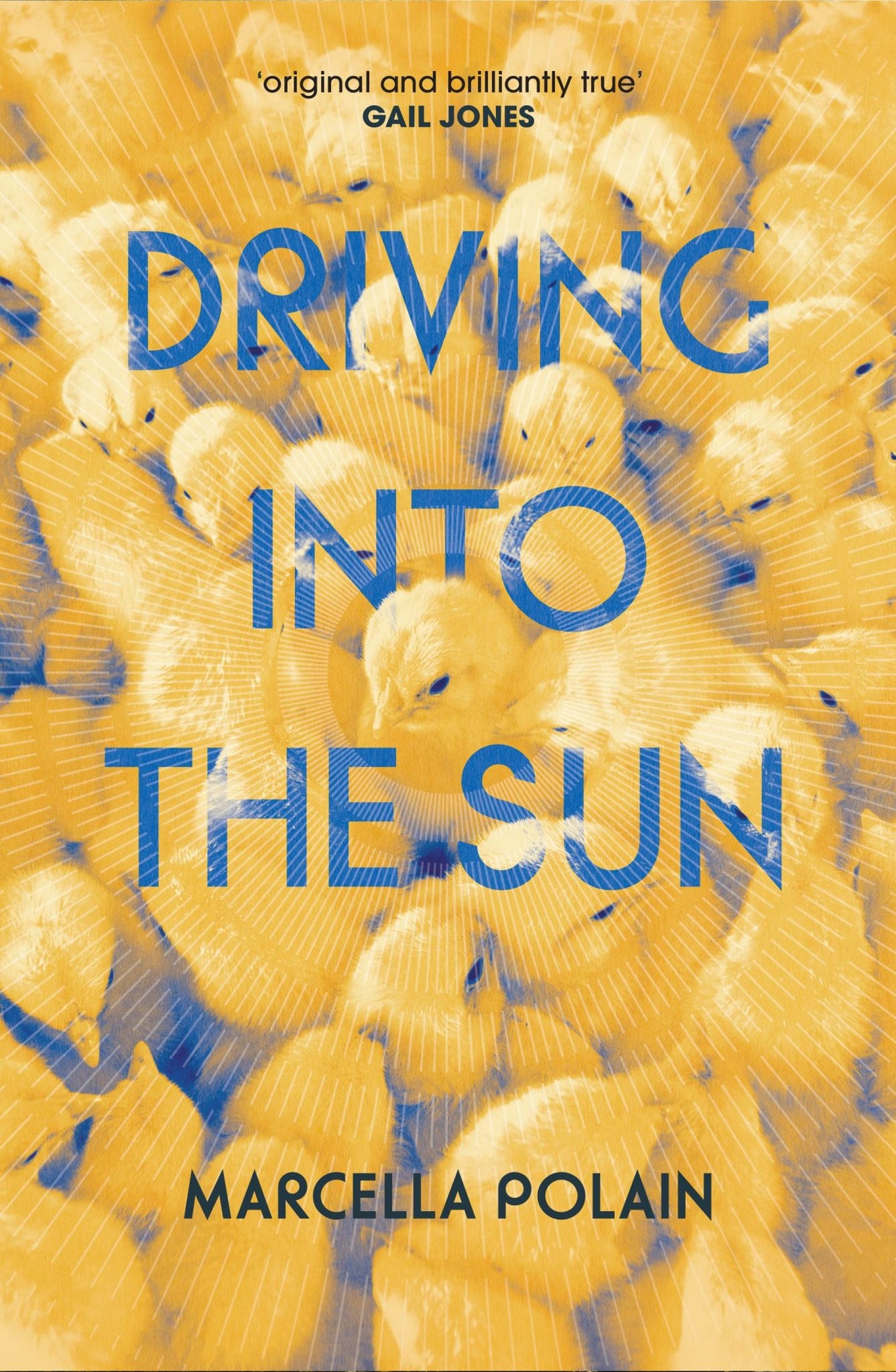 Cover of "Driving into the Sun," a novel about family, grief, and personal growth, published in 2019 by Fremantle Press.