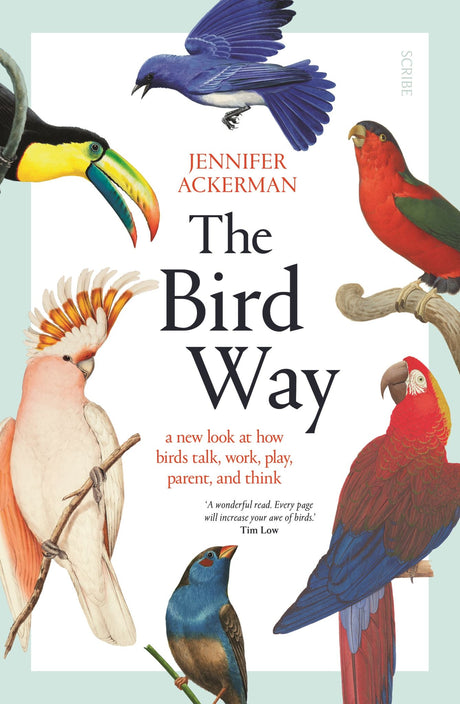 Cover of "The Bird Way" by Jennifer Ackerman, showcasing birds' intelligence and behaviors through recent scientific insights.