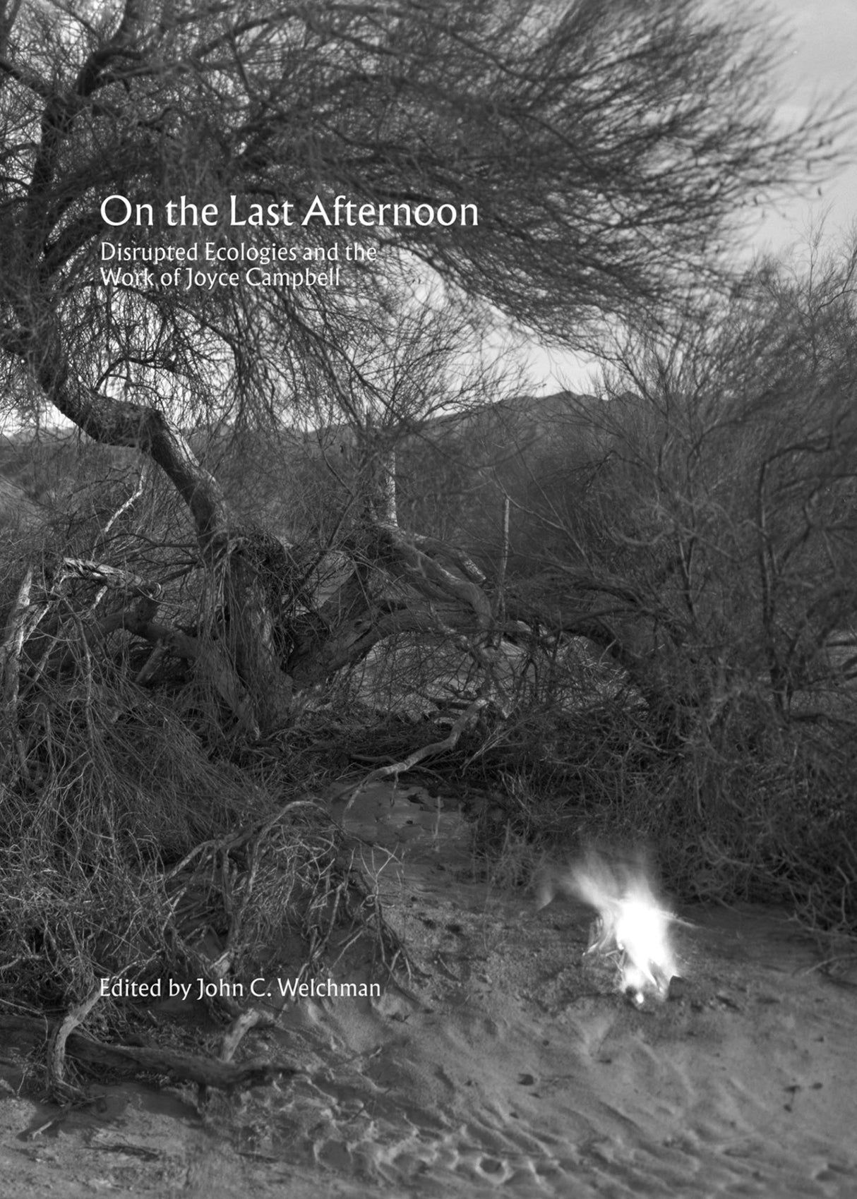 Richly illustrated retrospective of Joyce Campbell's interdisciplinary artistry in photography, film, and video, exploring ecology.