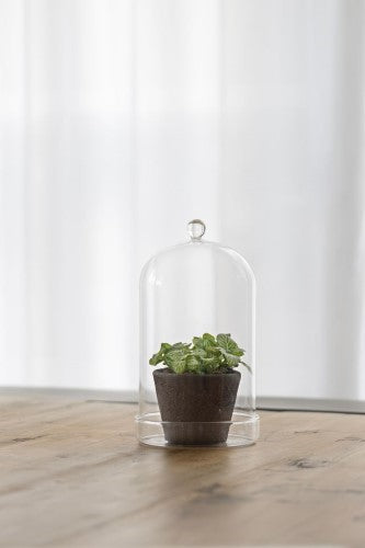Bell Jar Glass w/ Bowl (13cm)