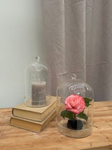 Bell Jar Glass w/ Bowl (13cm)