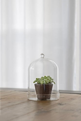 Bell Jar Glass w/ Bowl (16cm)