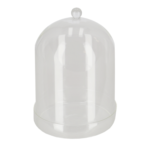 Bell Jar Glass w/ Bowl (16cm)