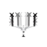Desk Mount Dual Monitor Arm - Full Motion - Tool-less - Up to 30" VESA Monitors