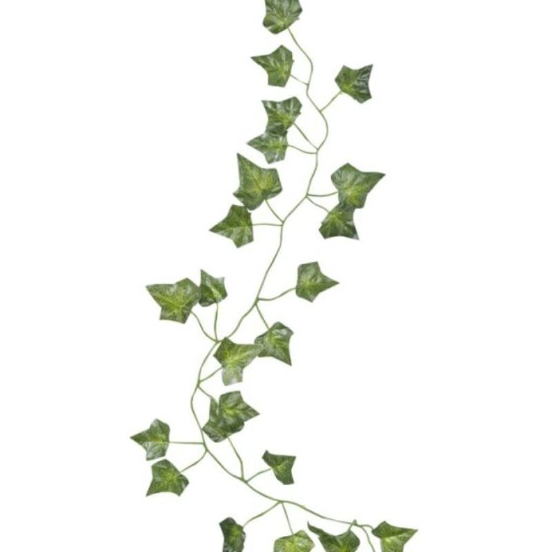 Beautiful Botanics Decorative Vines - Pack of 5