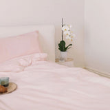 Pink Salt Fitted Sheet And Pillowcase Set King - Bambury