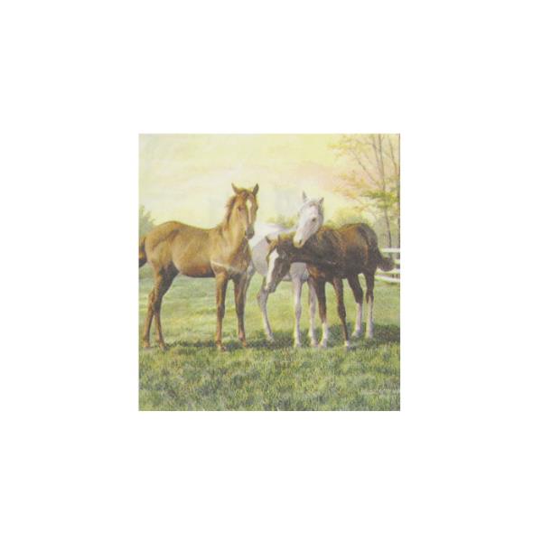 Napkin - Horses Cocktail