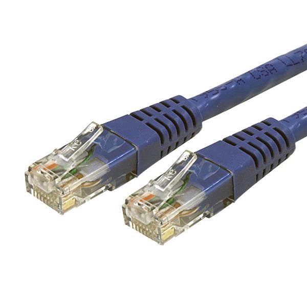 Blue Cat6 Ethernet cable, 2 ft long, with molded connectors for reliable Gigabit connections and color-coded organization.