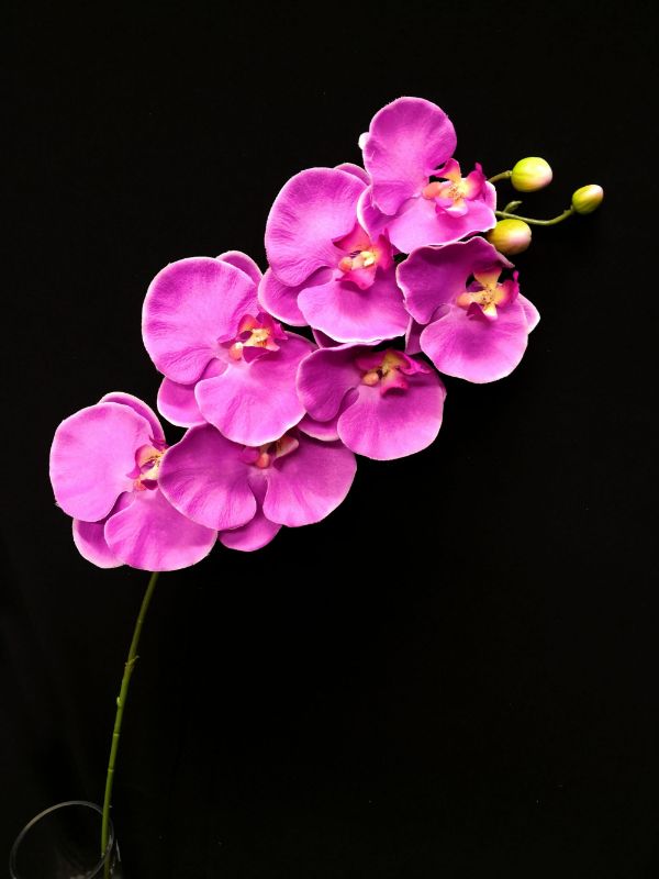 Artificial Phalaenopsis Spray - Dark Purple (82cm)
