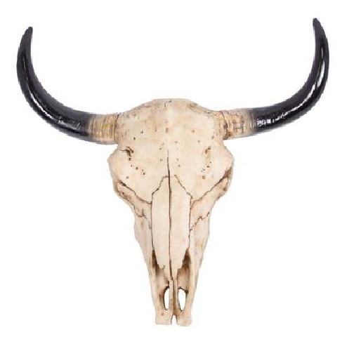 Handcrafted polyresin cow skull wall art, 27cm wide, adding rustic chic charm to any room.