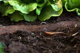 Copper Fence Mesh (Set of 2)