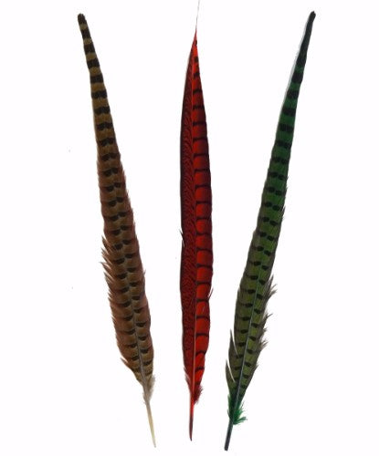 Natural Pheasant Feather x 12