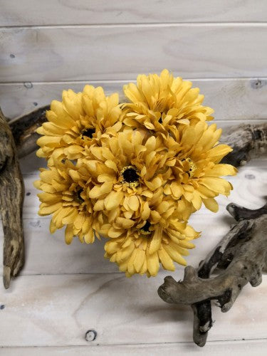 Gerbera Posy (Vintage Yellow)