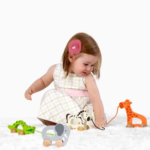 Hape - Push & Pull Elephant