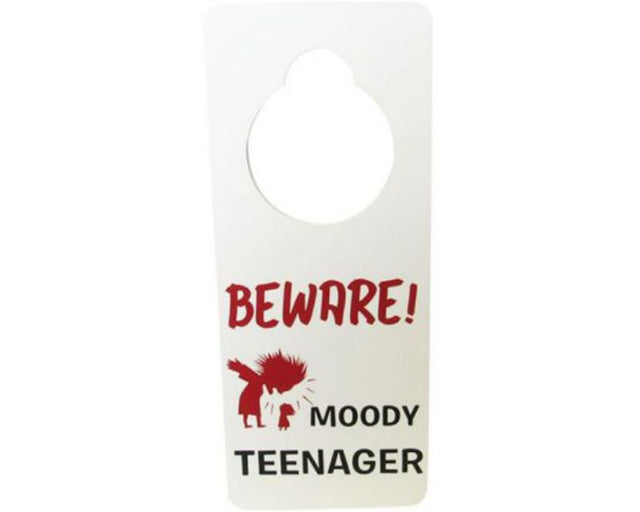 Stylish 24x10 cm door sign for teenagers, perfect for personalizing their space and ensuring privacy.