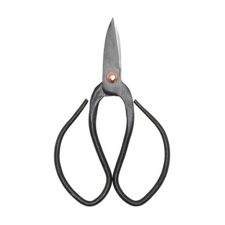 Set of 2 small bonsai shears (7x12cm) crafted from durable carbon steel, ideal for precise pruning and shaping.