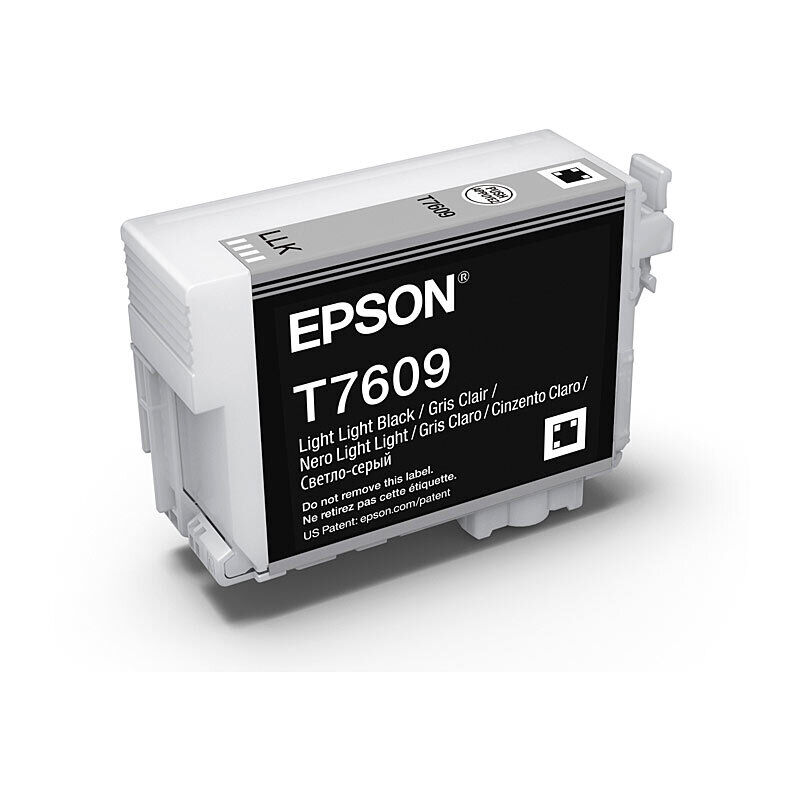 Epson 760 Lgt Lgt Blk Ink Cartridge