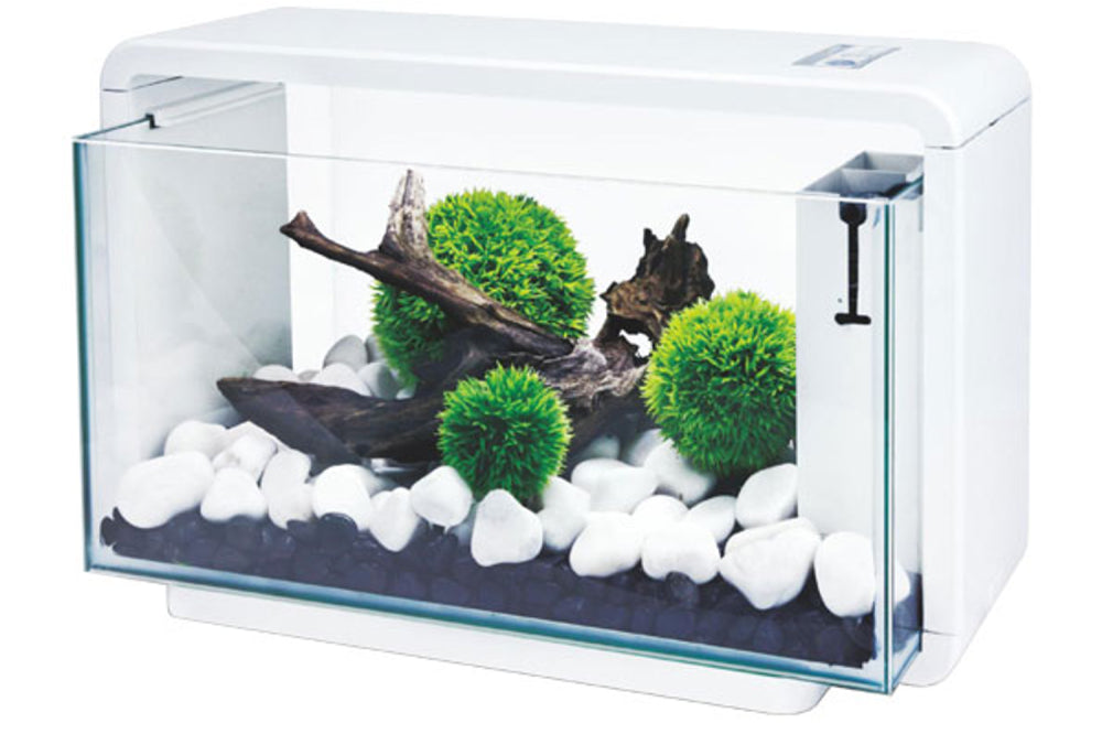 Aquarium Hailea E25 25L with LED lighting, filter, and adjustable light functions in a sleek white design.