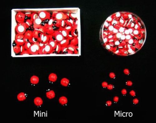 Micro Ladybird Stickers (200 Per Box)