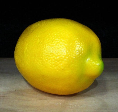 Artificial Fruit - Lemon